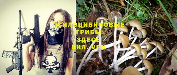 гашиш Кодинск