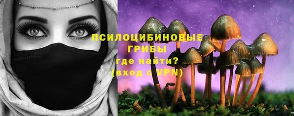 дурь Козловка