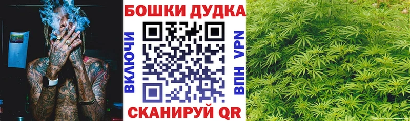 MEGA зеркало  цена наркотик  Новошахтинск  МАРИХУАНА индика 